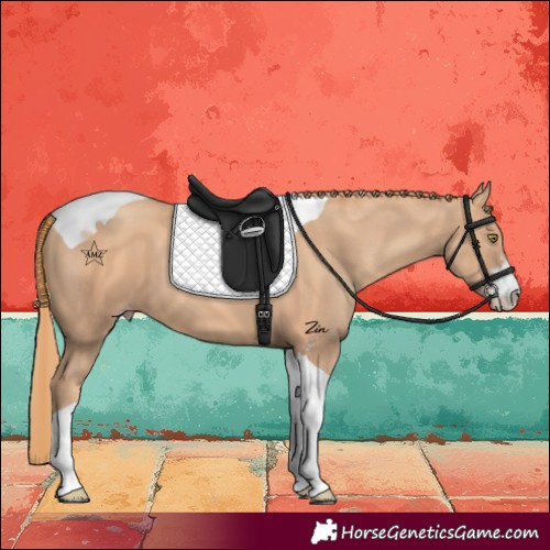 Horse Color:Gold Champagne Sabino Tobiano