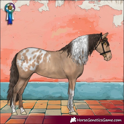 Horse Color:Amber Champagne Tobiano Appaloosa
