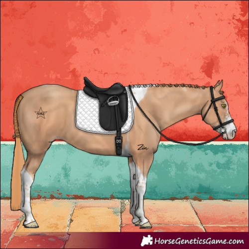 Horse Color:Gold Champagne Sabino Tobiano 