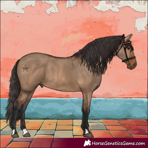 Horse Color:Bay Dun 