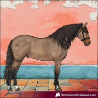 Horse Color:Bay Dun 