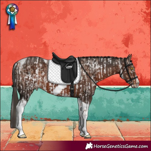 Horse Color:Sable Champagne Sabino Frame and Liver Chestnut Tobiano Frame