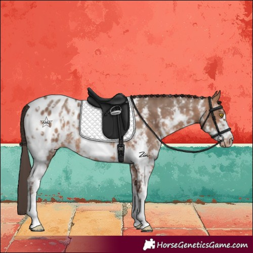 Horse Color:Sable Champagne Sabino Frame Blanket 
