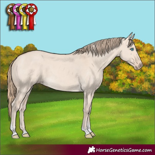 Horse Color:Perlino Dun Tobiano
