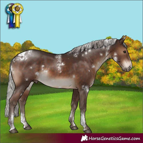 Horse Color:Powder White White Spotted Silver Brown Rabicano 