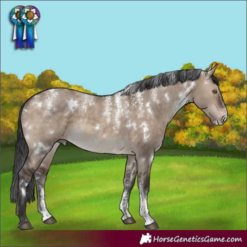 Horse Color:Powder White White Spotted Brown Dun Rabicano 