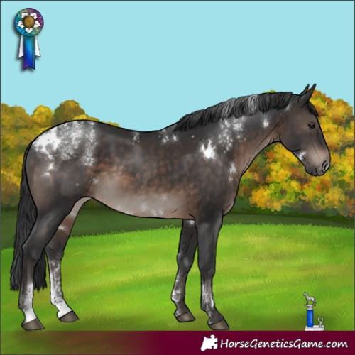 Horse Color:Powder White White Spotted Brown