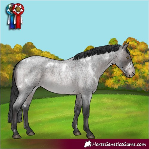 Horse Color:Platinum White Spotted Brown Roan