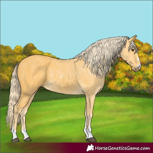 Horse Color:Palomino