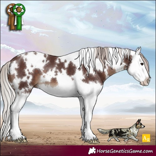 Horse Color:White Spotted Chocolate Silver Brown Splash