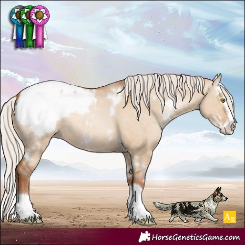 Horse Color:White Spotted Silver Brown Pearl Dun Sabino Splash Appaloosa Rabicano
