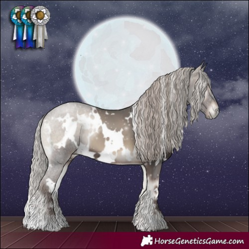 Horse Color:White Spotted Silver Blue Onyx