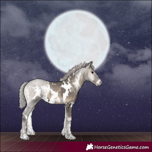 Horse Color:White Spotted Silver Blue Onyx 