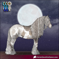 Horse Color:White Spotted Silver Blue Onyx 