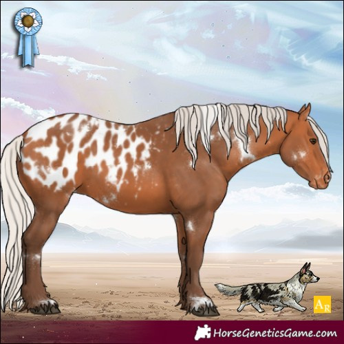 Horse Color:White Spotted Silver Bay Appaloosa 