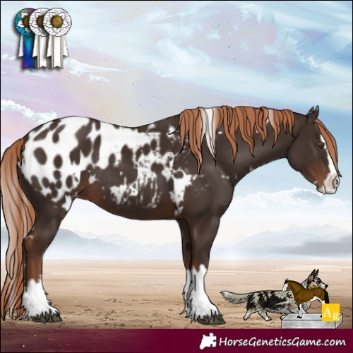 Horse Color:White Spotted Liver Chestnut Splash Blanket Rabicano 