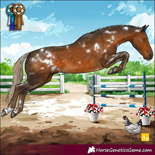 Horse Color:White Spotted Chocolate Palomino