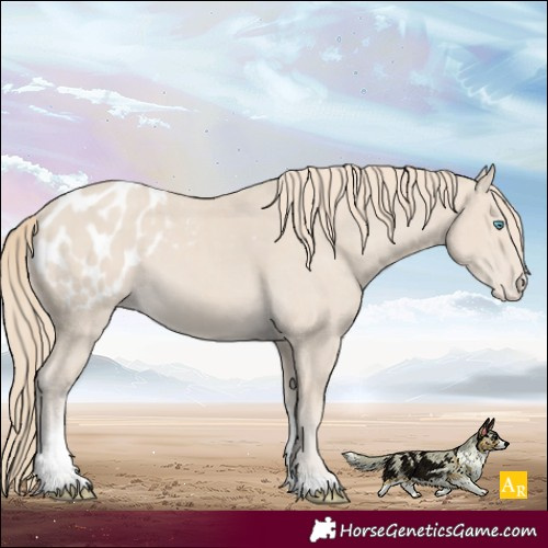 Horse Color:Smoky Creme Tobiano Appaloosa Rabicano 