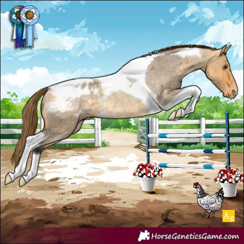 Horse Color:Buckskin Roan Dun Tobiano Appaloosa Rabicano