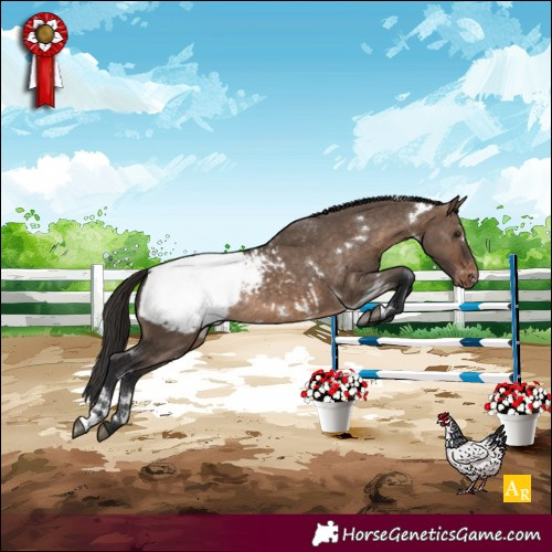 Horse Color:White Spotted Brown Dun Appaloosa Rabicano 