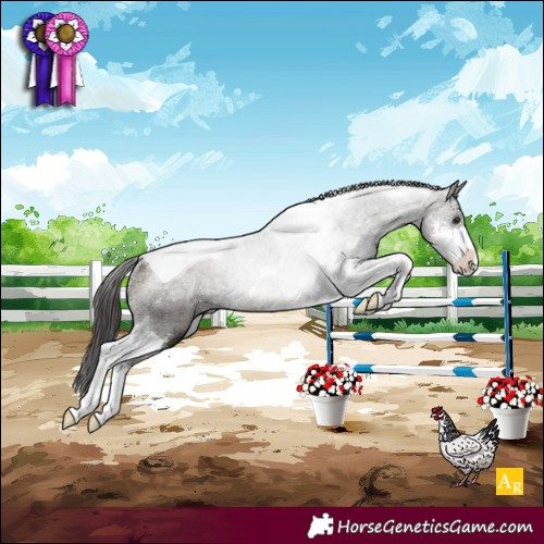 Horse Color:Buckskin Sabino Tobiano Rabicano