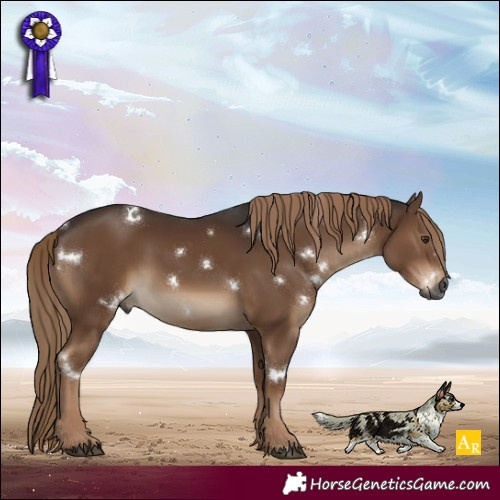 Horse Color:Gray White Spotted Liver Chestnut