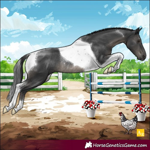 Horse Color:Black Tobiano Rabicano 
