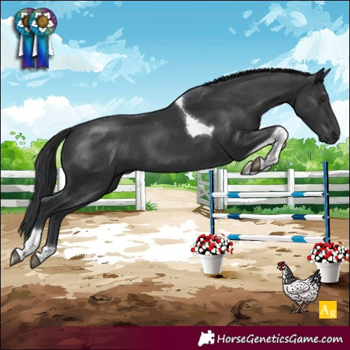 Horse Color:Black Tobiano