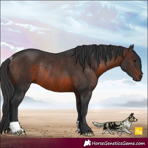 Horse Color:Brown Rabicano 