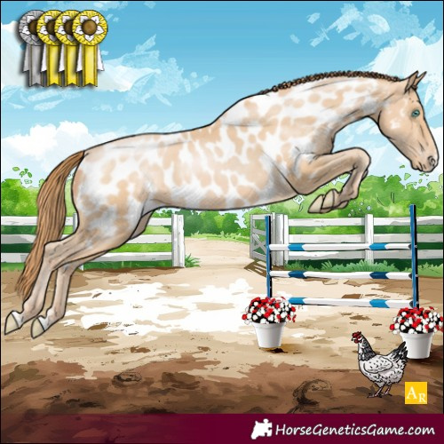 Horse Color:Smoky Black Pearl Sabino Appaloosa