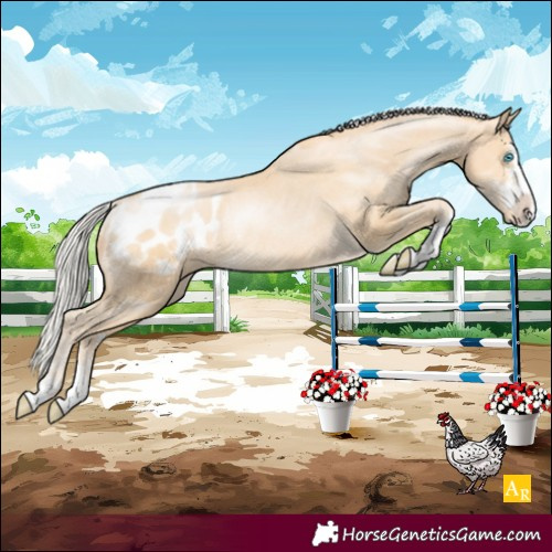 Horse Color:Silver Buckskin Pearl Appaloosa Rabicano