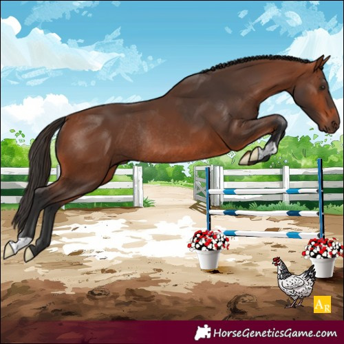 Horse Color:Bay Rabicano