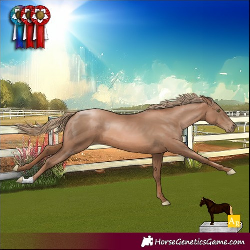 Horse Color:Liver Chestnut Pearl