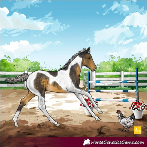 Horse Color:Silver Buckskin Tobiano