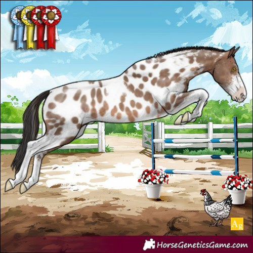 Horse Color:Sable Champagne Sabino Tobiano Appaloosa