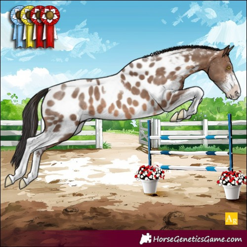 Horse Color:Sable Champagne Sabino Tobiano Near Leopard