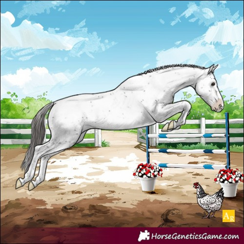 Horse Color:Brown Sabino Appaloosa Rabicano