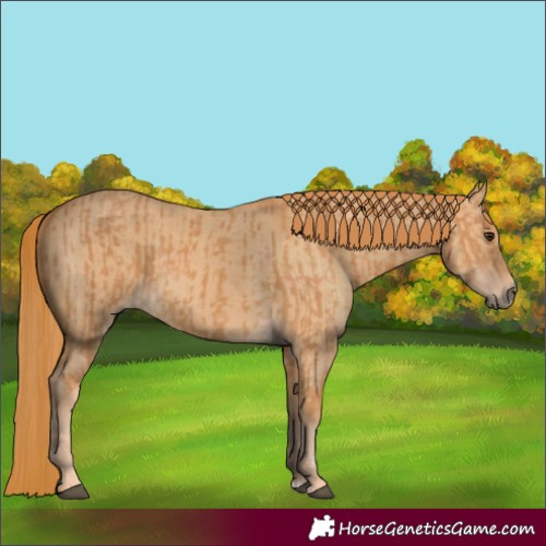 Horse Color:Chestnut and Red Dun