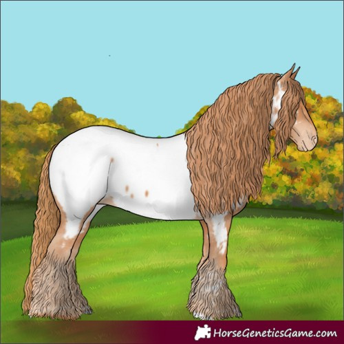 Horse Color:Chestnut Near Fewspot