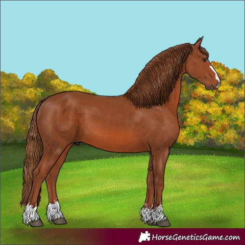 Horse Color:Unknown 