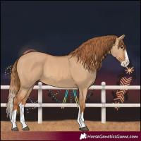 Horse Color:Red Dun Splash 