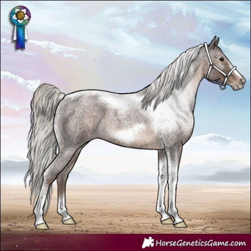 Horse Color:Silver Blue Roan Tobiano Frame