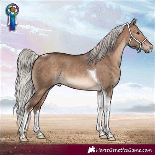 Horse Color:White Spotted Silver Brown Dun Tobiano