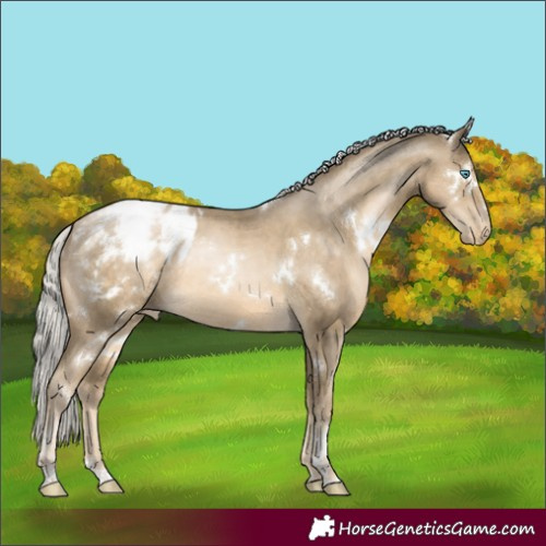 Horse Color:White Spotted Silver Smoky Black Pearl Appaloosa Rabicano 