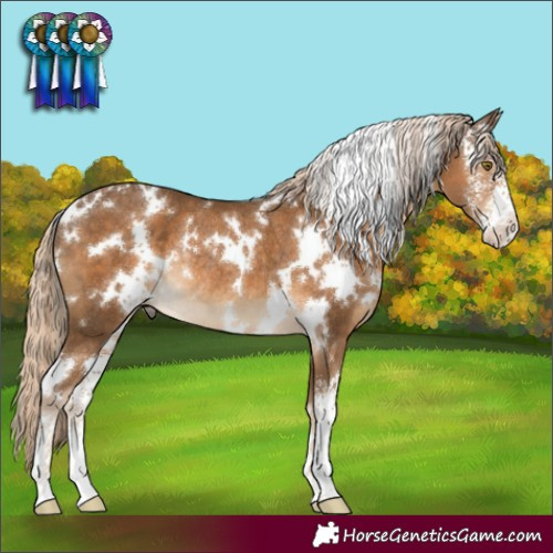 Horse Color:White Spotted Chocolate Palomino Sabino Rabicano
