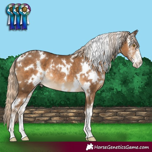 Horse Color:White Spotted Chocolate Palomino Sabino Rabicano