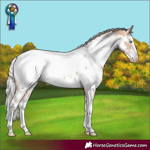 Horse Color:White Spotted Silver Perlino Splash Appaloosa Rabicano