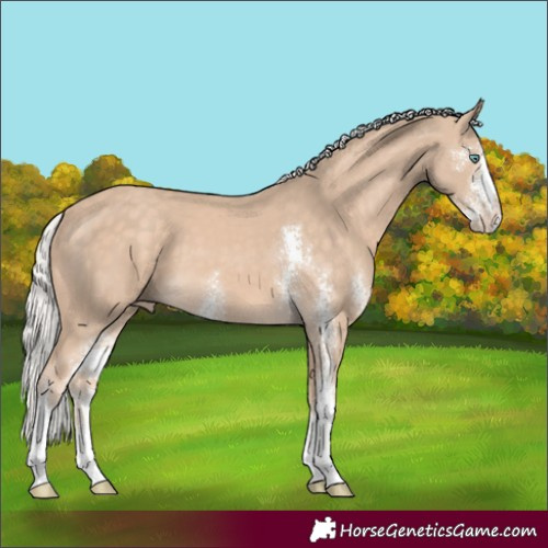 Horse Color:Silver Perlino Sabino