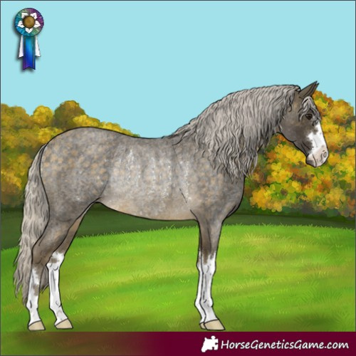 Horse Color:Silver Buckskin Roan Rabicano