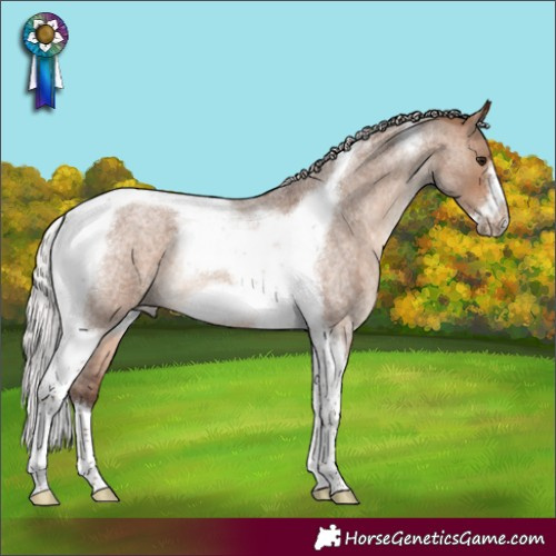 Horse Color:Silver Brown Roan Dun Tobiano Frame Rabicano 
